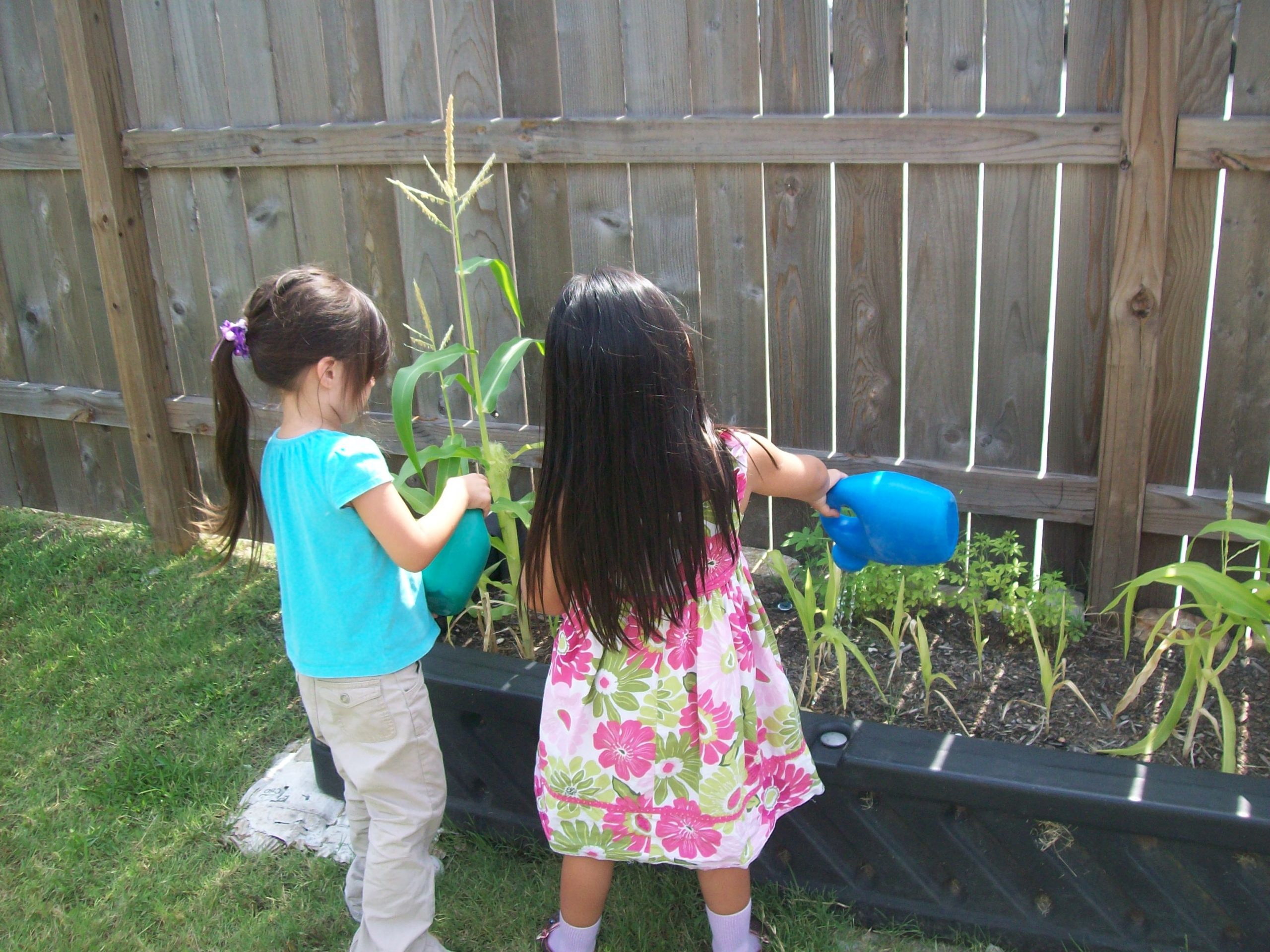 Sugar Mill Montessori gardening