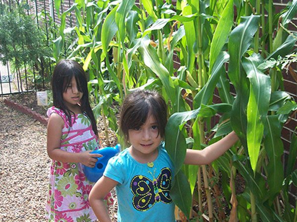 Sugar Mill Montessori garden