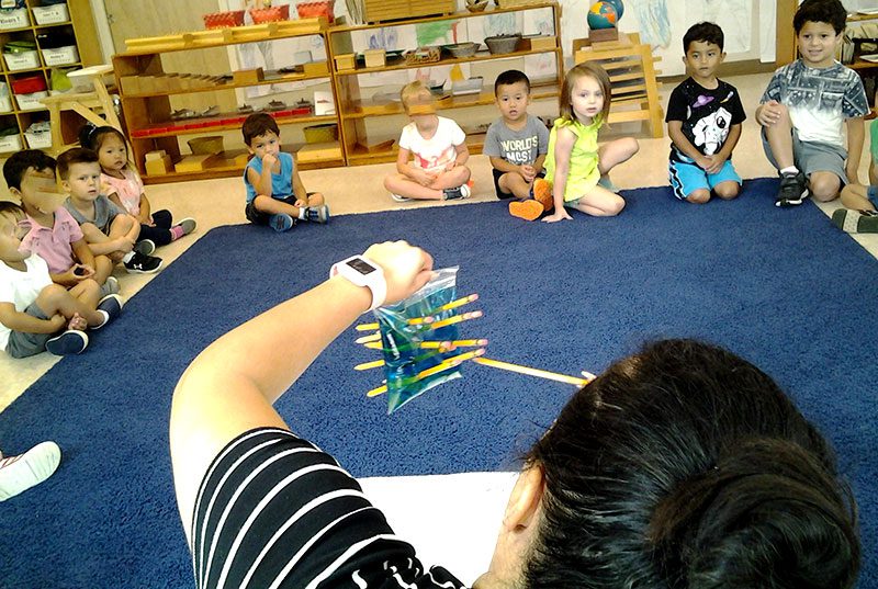 Students and teacher learning and playing together at Sugar Mill Montessori School