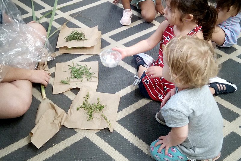 Students at Sugar Mill Montessori School learning about plants