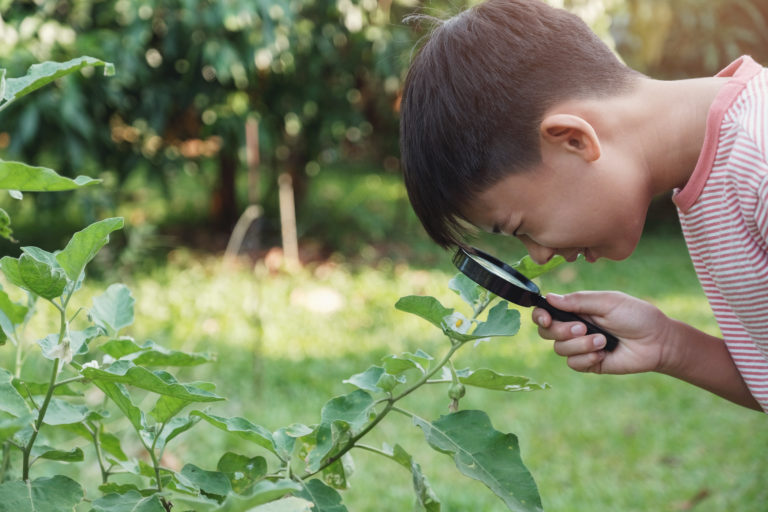 Preteen boy examining a plant with a magnifying glass