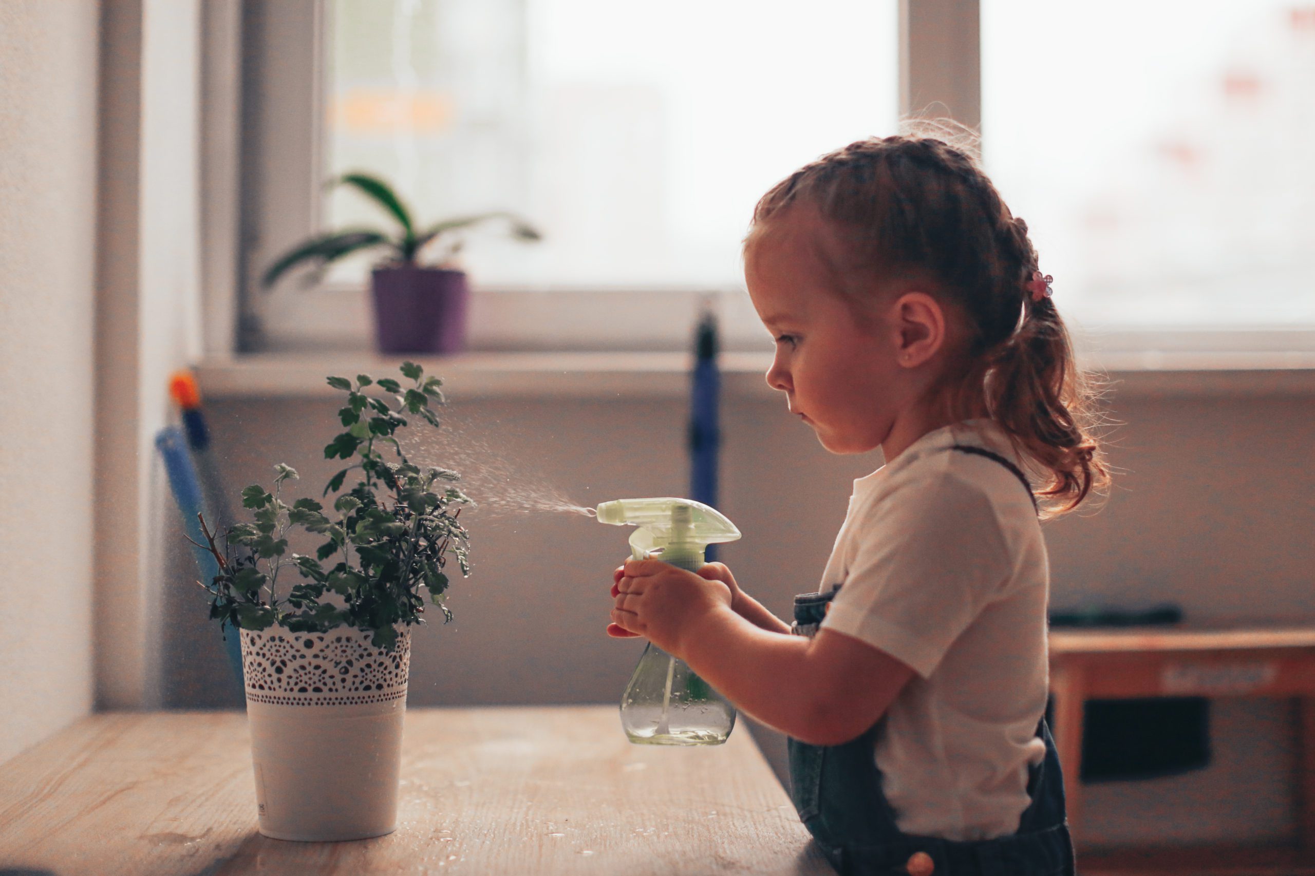little girl watering a plant inside